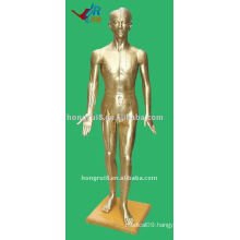 178cm Male Acupuncture Model of the human body,Acupuncture Manikin